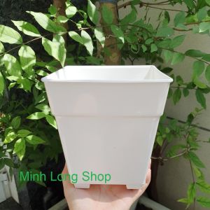 (Nhiều Mẫu) Size Vừa - Chậu Để Bàn Trồng Hoa Nhựa Dày Đẹp Màu Trắng