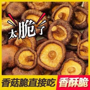 50g 即食香菇脆 Mushroom Crisp Mushroom Snack