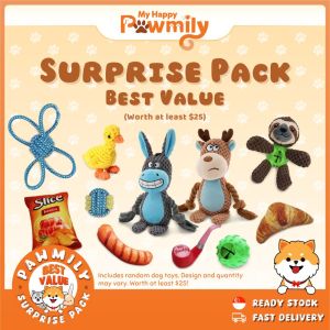 Squeaky Snack Attack – Realistic Food Shaped Toys for Dogs