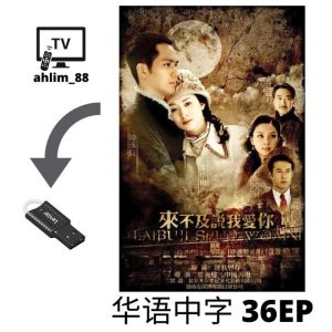 USB China Drama 3 in 1 来不及说我爱你 + 何以笙箫默 + 孤芳不自赏 华语中字 Chinese subtitle 钟汉良 大陆剧