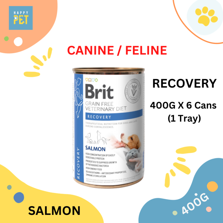 Brit Grain Free VETERINARY DIET RECOVERY CAT DOG CANNED FOOD 400G Lazada