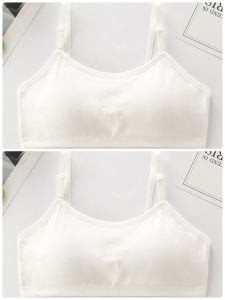 เสื้อในเด็กโต สำหรับวัยรุ่นมัธยม มีตะขอหลัง 3ชั้น ฟองนำ้เย็บติด สำหรับอายุ 9-15 ปี วัดขาดรอบอกก่อนสั่ง