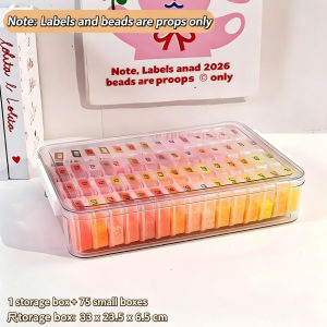Perler Bead Storage Box Set Transparent PET Dustproof Container Large Capacity DIY Handmade Craft Bead Organizer Optional With 54 Small Bottles Or 75 Small Boxes