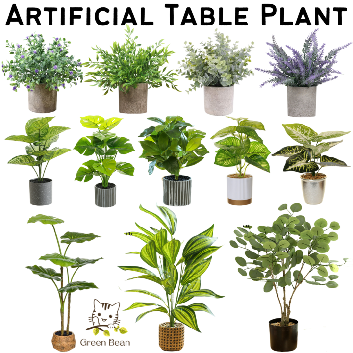 Fake table store plants