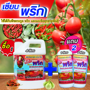 เซียนพริก ซื้อ 1 แถม 2 พริกติดดอก ผลดก ขั้วเหนียว สีสด รสดี เนื้อหนา น้ำหนักดี ปุ๋ยพริก ยาฉีดพริก ฮอร์โมนพริก