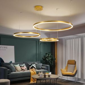 SUNMEIYI Nordic Metal Postmodern LED Round DIY Pendant 220V Lamp with Replaceable LED Ceiling Ceiling Lamp Living Room Dining Room Bar Desk Bedroom Indoor Home Decoration Lighting Fixture Simple Installation 3-Year Warranty