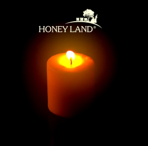 Lilin Lilin Lebah – Lilin Silinder Biasa (+/- 115g) Hadiah Mesra Alam Hiasan Rumah Lilin Hiasan Lebah    (Beeswax Candle – Plain Cylinder Candle (+/- 115g) Eco-friendly Gift Home Decor Lilin Hiasan Lebah)