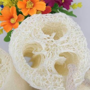 3Pc Natural Loofah LOOFAH PATOLA SHOWER SCRUB - All Natural Shower Scrub