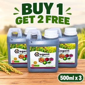 Cogent FruitSet Pro Bio-Stimulant 500ml Boost Flowers & Fruit Production All-in-One Fertilizer for Lush Green Healthy Yard