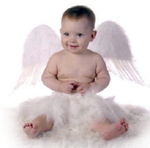 Baby Angel Crib/Playpen with Rocker and Mosquito Net PNC8223 Dark Blue