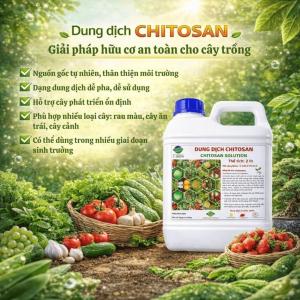 Dung Dịch Chitosan Sinh Học 2 Lít - Chitosan Nông Nghiệp Hỗ Trợ Ra Rễ Chăm Sóc Cây Trồng Toàn Diện