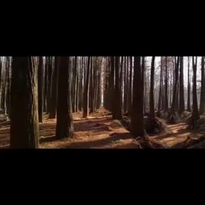 Milk Oil Style Tatami Bed Japanese Modern Simple Single and Double with Storage Side Cabinet Low Bed Small House Floor Platform