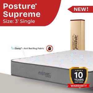 (New Arrival) Goodnite Posture Supreme Compressed Mattress in Box - Cooling Fabric Latex Foam Mattress (10")