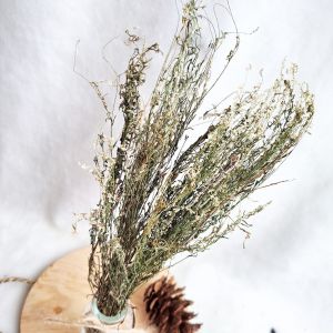bunga remason / dried flower / bunga kering wildery wheat
