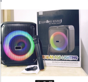 BTS 1739 Bluetooth Outdoor/Indoor Portable Karaoke Speaker with Free Wireless Microphone