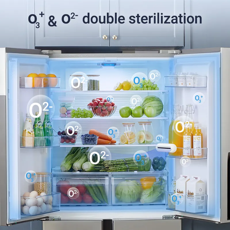 Refrigerator ionizer deals