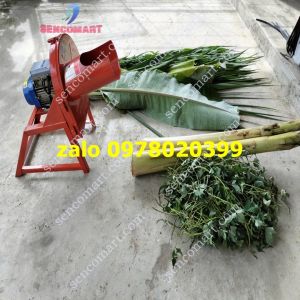 Máy xay nghiền chuối nguyên cây công suất 2 ngựa (15kw) tai sài gòn