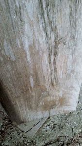 Kayu Jati Asli Bekas: Desain Mebel Tradisional