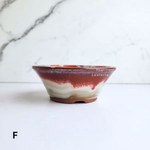 The Leaferie Bonsai Pot / Tray (Series 51) . Plant pot . Ceramic . Flowerpot . Planter. Flower pots