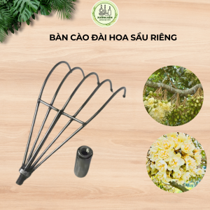 Bàn cào đài hoa sầu riêng có gắn bi chống xước hoa và có ốc xoay chốt cán tiện lợi