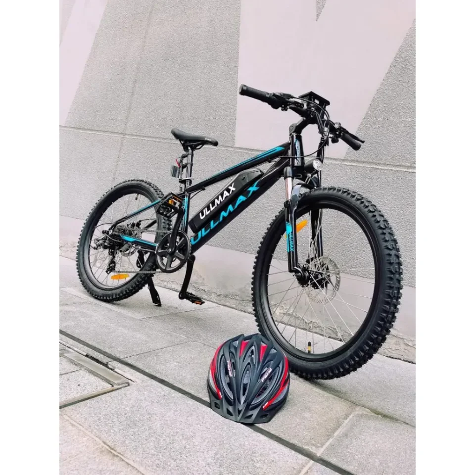 Electric bike 24 top inch