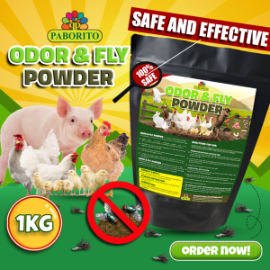 Odor & Fly Powder | Safe & Natural Odor Control for Poultry & Farms | Dries Wet Litter – 1KG
