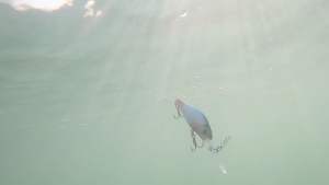 Mồi Câu Cá chìm chậm cá nhân tạo bả Topwater crankbaits wobbler Giả Cứng bả Dễ sử dụng