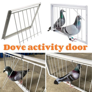 Pigeon Entrance T-Trap Pigeon Bird Entrance One-Way Trap Iron T Bars for Pigeon Door