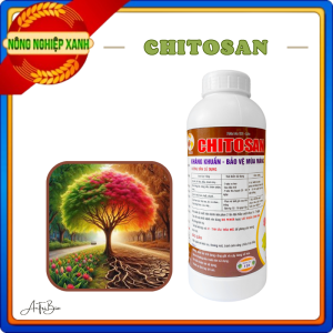 Nano Chitosan - Kích rễ ra rễ khỏe đẻ nhánh mập cứng cây đứng lá (1 lít)/ Chế phẩm sinh học cho cây lúa khoẻ