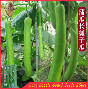 25seeds/pack Long Bottle Gourd Seeds/Hybrid Long Bottle Gourd Plant Seeds Vegetables Seeds-A640
