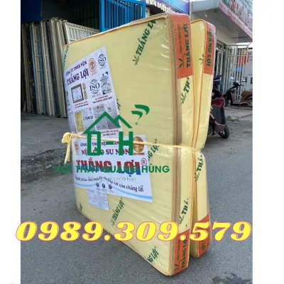 NỆM CAO SU NON THẮNG LỢI 10 phân GIÁ RẺ