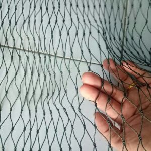jaring pagar bebek ayam 15 x 26 meter lubang 2 x 2 cm atau 2 jari bonus tali 2 ketebalan benang 1 mm tahan segala cuaca ukuran akan menyusut saat terpasang