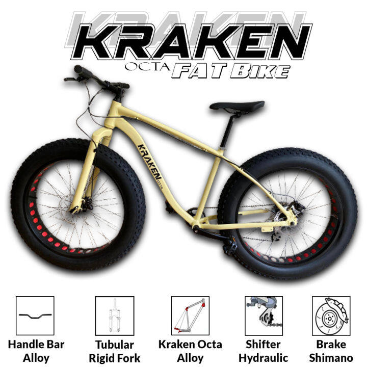 Fat bike for sales sale lazada