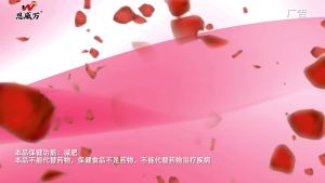 Ready-to-ship weight loss product: Lily Kang Coenzyme L-Carnitine Green Tea Soft Capsules can be used together with fat-burning tablets Kaba Full Metal Foil 3D Pilgrimage Souvenir Kaba