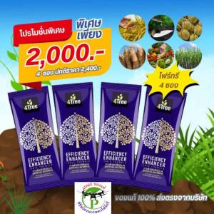 4Treeของแท้ โฟร์ทรี 4 ซอง ใช้ได้ 70-80 ไร่ สารเสริมประสิทธิภาพพืชสูตรอิออน ช่วยเร่งราก พืชโตเร็ว ทำให้พืชเขียวนาน ใช้ได้กับพืชทุกชนิด นวัตกรรมใหม่จากประเทศอิสราเอล ของแท้100%
