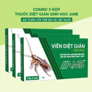 [[COMBO 3 HỘP]] Viên diệt gián sinh học AMB an toàn hiệu quả nhanh chóng