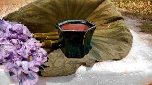 Chậu bonsai mini Bát Tràng men xanh hoả biến