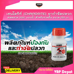 เชนไดร้ท์ (CHAINDRITE) ยากำจัดปลวก สเตดฟาส 30SC แบบน้ำ สำหรับราดพื้น ขนาด 250 cc.