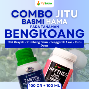 Insektisida Topfarm / Obat Buah Bengkoang / Obat Hama Buat Buah Bengkoang / Obat Bengkoang / Obat Pembesar Umbi Bengkoang / Obat Semprot Tanaman Bengkoang / Obat Semprot Bengkoang Terbaik