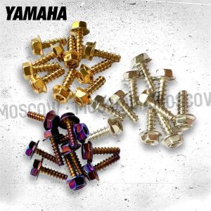 BAUT BODY PROBOLT HENG YAMAHA HONDA GOLD COCOK UNTUK SEMUA MOTOR YAMAHA HONDA CROME MATIC DAN BEBEK 1 PACK 10BJ