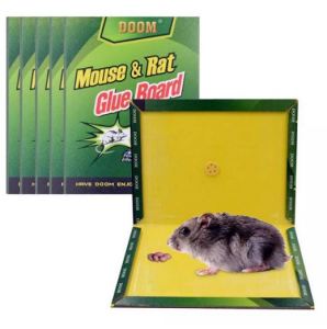 Mouse Glue Trap Extra Large Rat Glue Traps KMV Trading