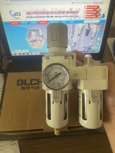 Bộ lọc đôi BICH AC3010-03