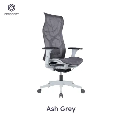 Ergoseat High Back Ergonomic Home Office Chair with Adjustable Lumbar Support (283A Chair) - Include Delivery