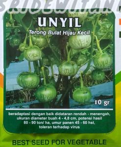 BIBIT BENIH TERONG LALAP TAHAN VIRUS UNYIL ISI 10 GRAM CAP PERMATA HIJAU Setara Provita Panah Merah