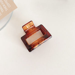 French Fashion Simple Small Hair Grab Elegant Acrylic Hairpin Ladies Headdress