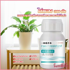 Sweet Belly เม็ดกำจัดเพลี้ย ไม่ทำร้ายพืช ยากำจัดสัตรูพืช ปราศจากฮอร์โมน ปรับปรุงดิน