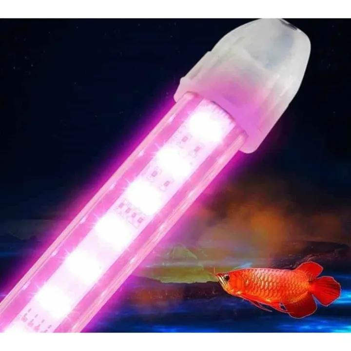 %C4%90%C3%A8n%20Led%20XML%20Chuy%C3%AAn%20D%E1%BB%A5ng%20Cho%20C%C3%A1%20R%E1%BB%93ng%20-%20Led%20Xuanmeilong%20Phi%C3%AAn%20B%E1%BA%A3n%20Th%E1%BB%A7y%20Tinh%20Limited%20-%20Image%204