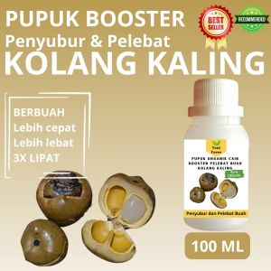 Pupuk Kolang Kaling Cepat Berbuah / Pupuk Pelebat Buah Kolang Kaling / Pupuk Booster Cair