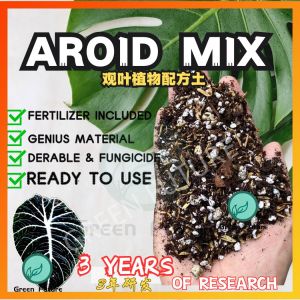 AROID MIX Soil Mix for Begonia \ Syngonium \ Anthurium\ Monstera \ Philodendron 观叶植物混合土 观叶植物 AROID soil mix 秋海棠