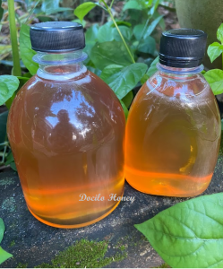 330/ 500 ml mật ong hoa trắng- Set 2 chai Mật ong hoa cộng sản- Mật ong bông trắng- Mật ong nguyên chất ngâm safaron- Mật ong đóng chai- Cam kết hàng thật